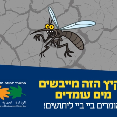 הקיץ הזה מייבשים מים עומדים