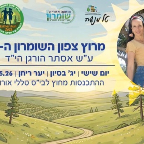 מנטורים לתעסוקה