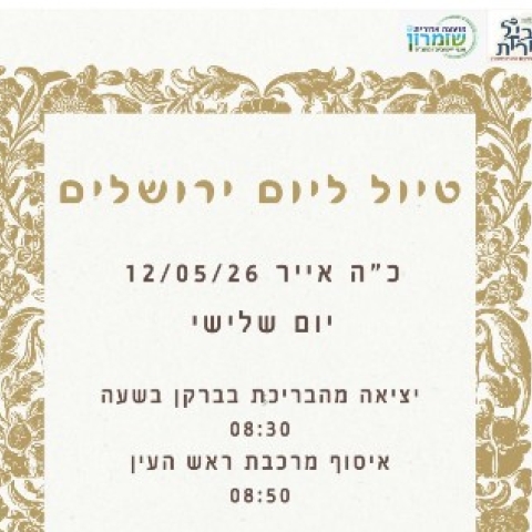 מנטורים לתעסוקה